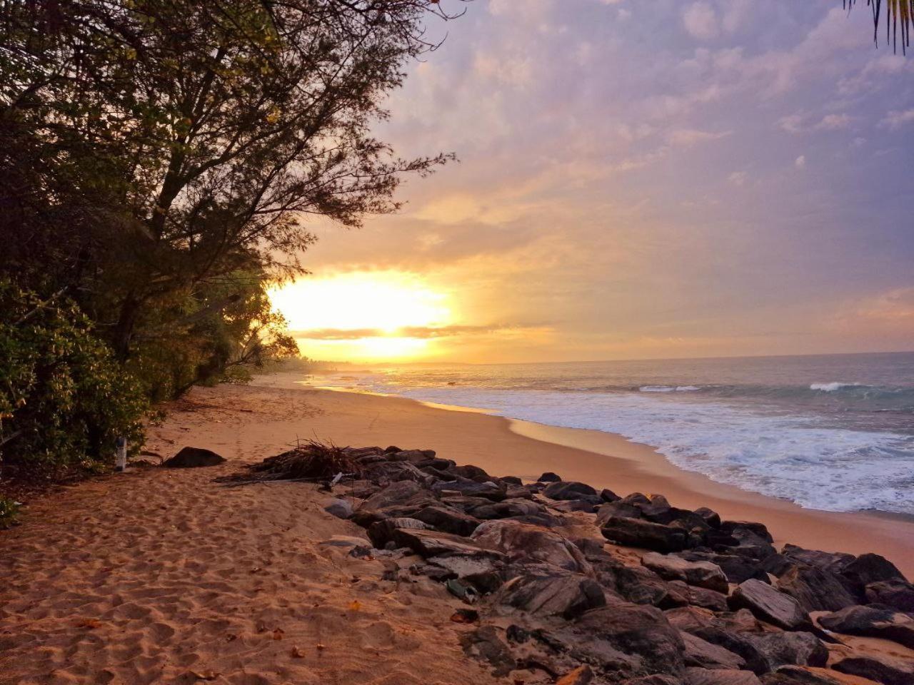 Panorama Beach Hotel Tangalle Exteriér fotografie